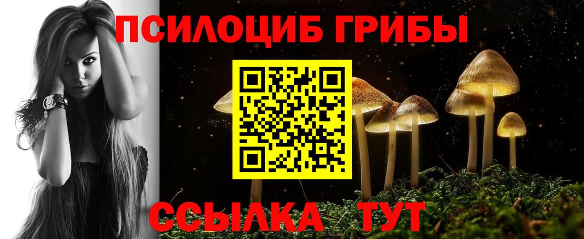Псилоцибиновые грибы MAGIC MUSHROOMS  Вход с VPN  Звенигород 